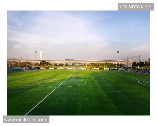 畅玩iPad单机足球游戏体验尽在掌中乐趣无限的足球世界等你来挑战